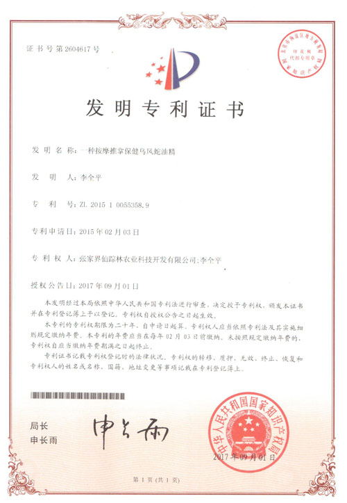 专利