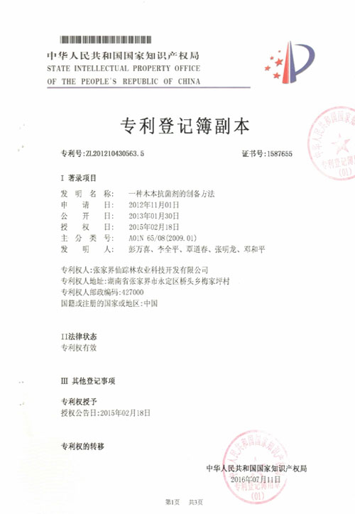 专利