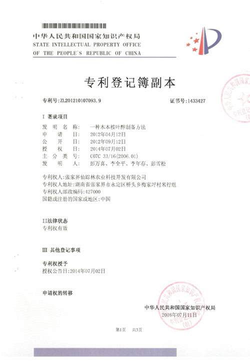 专利