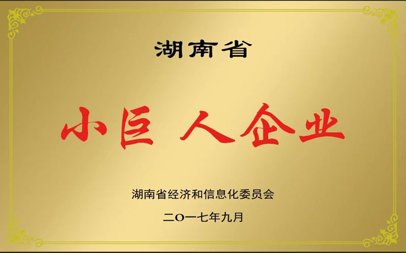 资质荣誉